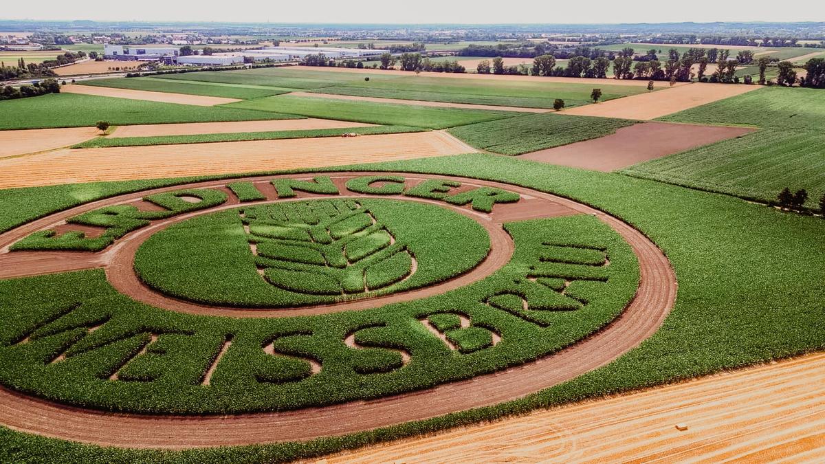 The ERDINGER logo designed as a wildflower meadow from a bird‘s eye view, an ERDINGER sustainability project.