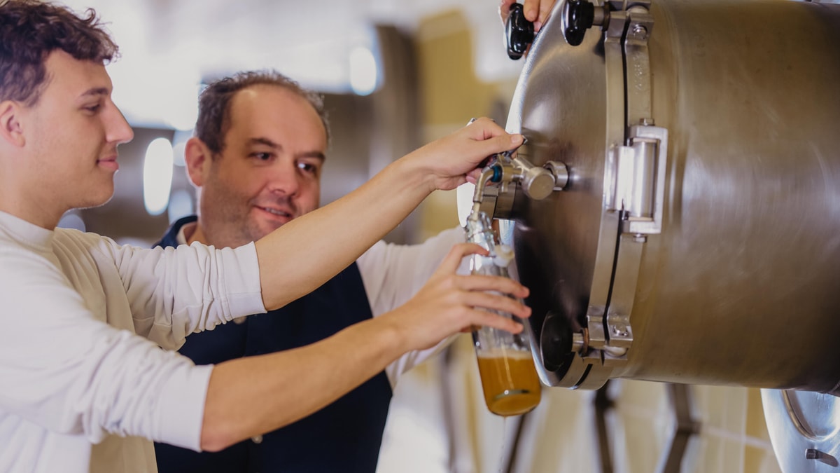 Two brewers are checking the malt for the production of ERDINGER Brauhaus.