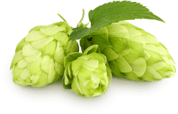 Our hops